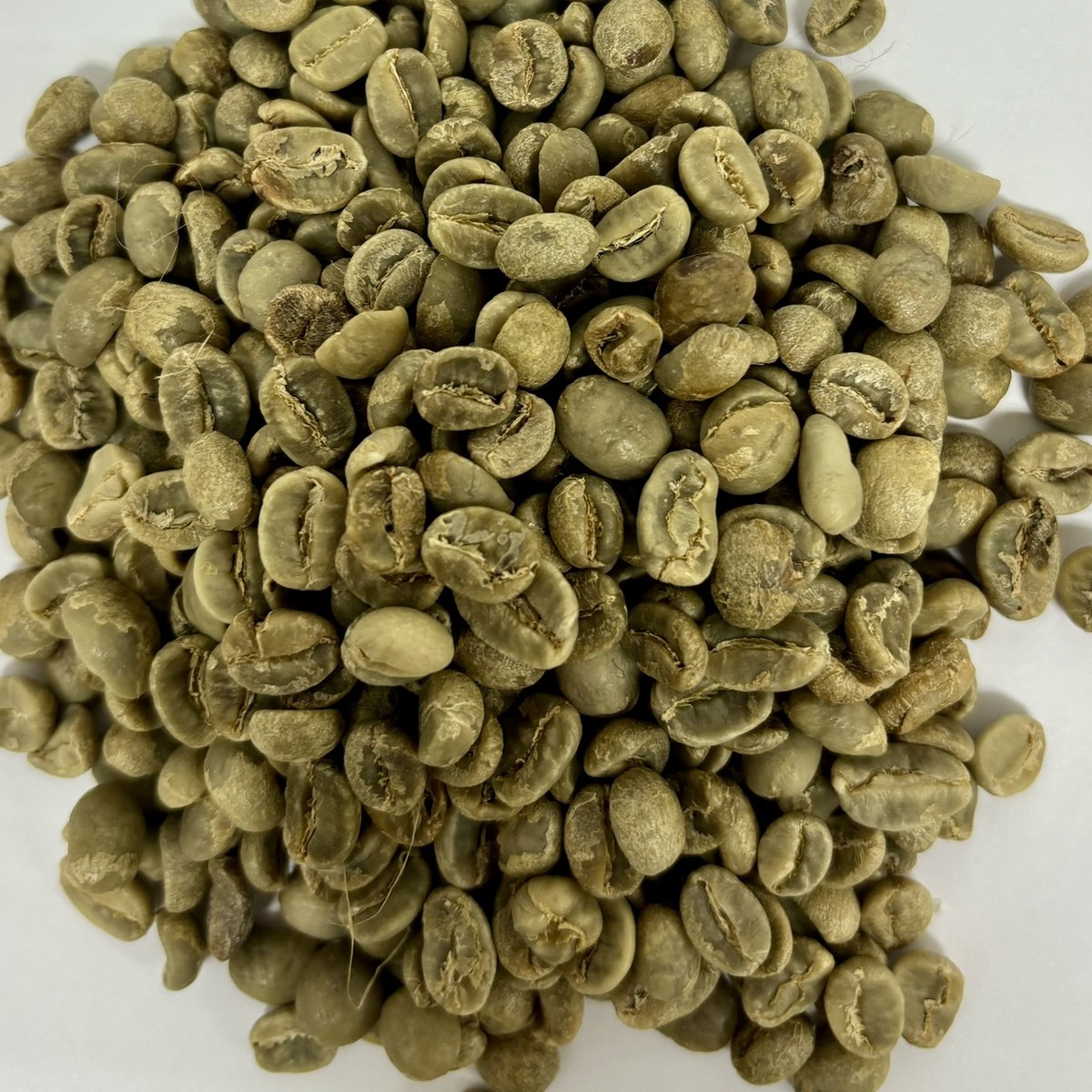 Green Arabica beans, unroasted sample photo