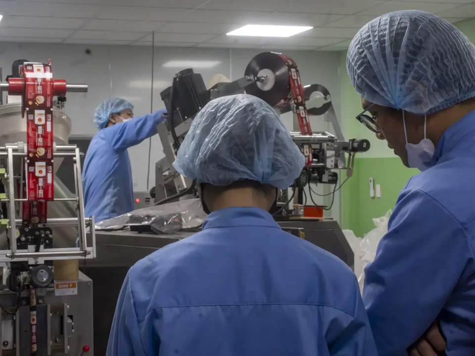 Operators in hair nets checking the packing line