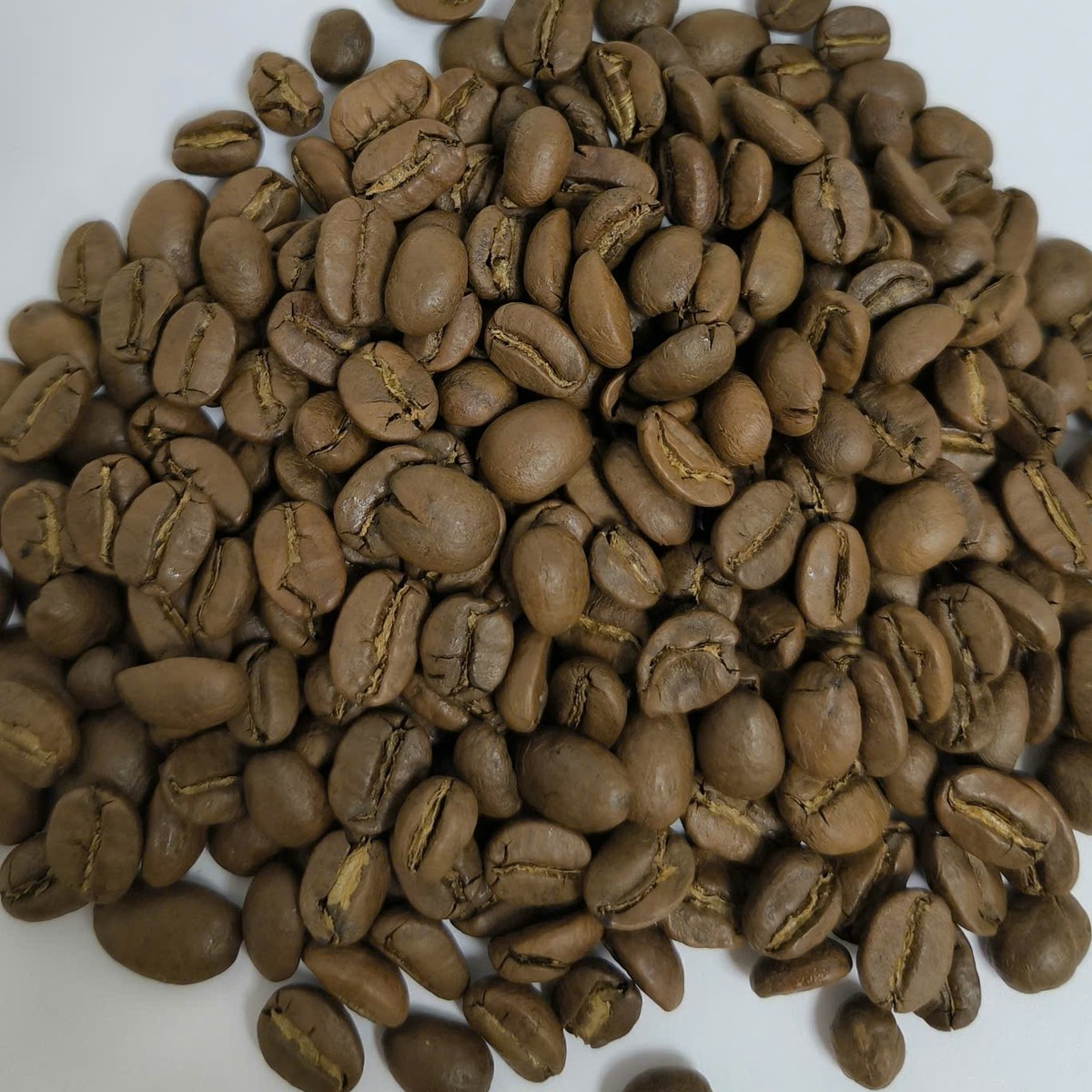 Arabica 100% roasted beans, unretouched sample photo