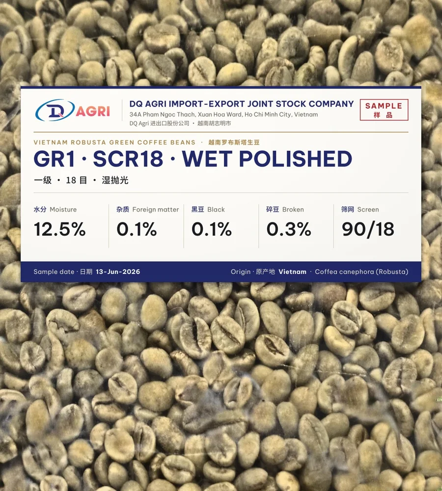 GR1 SCR18 wet polished sample