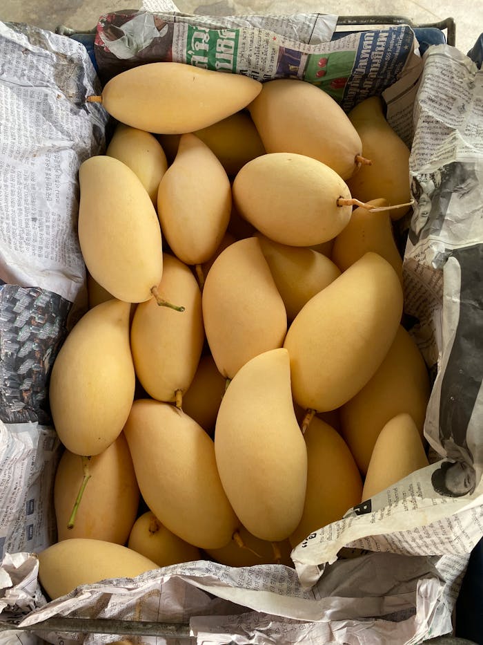Mangoes in Crate